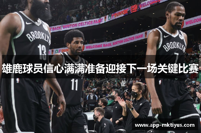 雄鹿球员信心满满准备迎接下一场关键比赛