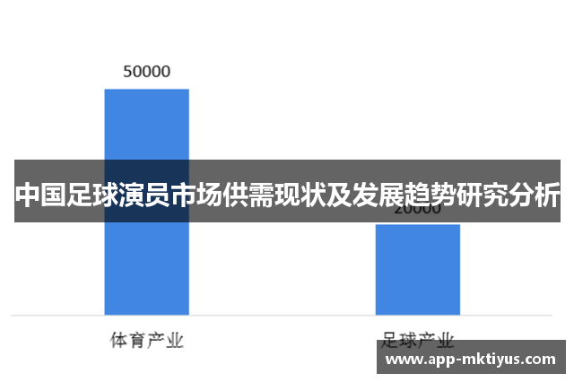 中国足球演员市场供需现状及发展趋势研究分析
