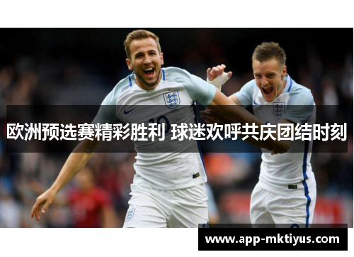 欧洲预选赛精彩胜利 球迷欢呼共庆团结时刻