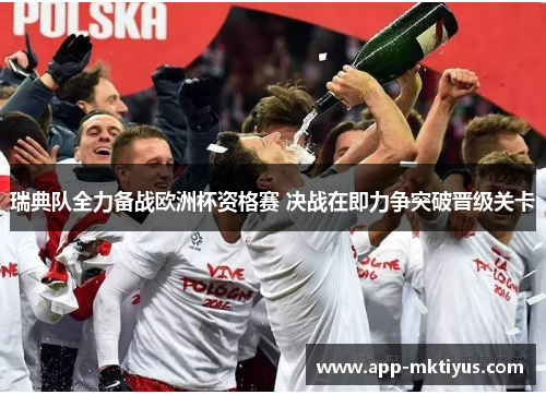 瑞典队全力备战欧洲杯资格赛 决战在即力争突破晋级关卡