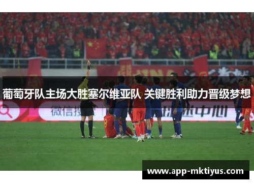葡萄牙队主场大胜塞尔维亚队 关键胜利助力晋级梦想