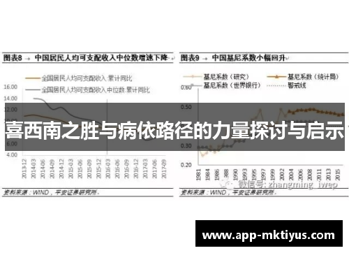 喜西南之胜与病依路径的力量探讨与启示