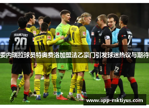 委内瑞拉球员特奥费洛加盟法乙豪门引发球迷热议与期待
