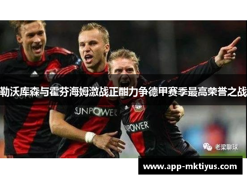 勒沃库森与霍芬海姆激战正酣力争德甲赛季最高荣誉之战