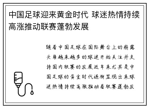 中国足球迎来黄金时代 球迷热情持续高涨推动联赛蓬勃发展