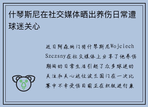 什琴斯尼在社交媒体晒出养伤日常遭球迷关心