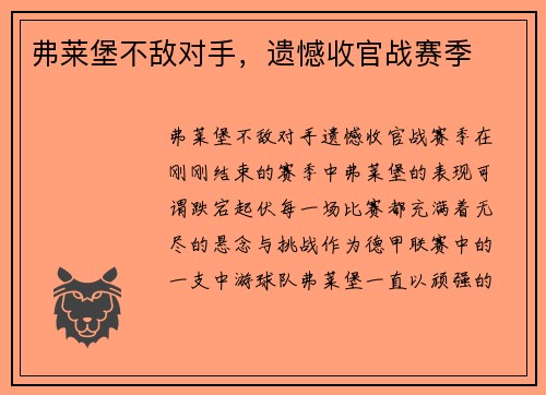 弗莱堡不敌对手,遗憾收官战赛季